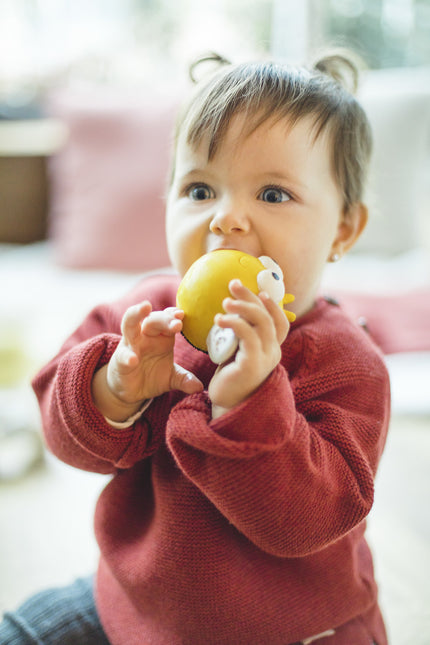 Anello di dentizione Lanco Sensory Pic The Bee