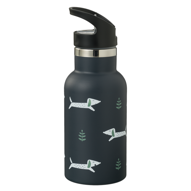 Bottiglia thermos Fresk Nordic Dachsy 350ml