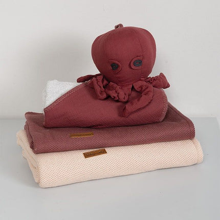 Coperta per culla solo per bambini Teddy Classic Blush