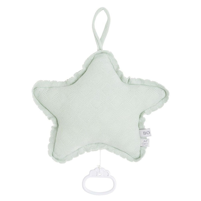 Ciondolo musicale solo per bambini Baby Star Reef Ash Mint